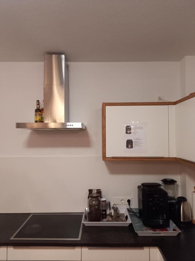 Grosszuegiges Apartment Georg Mayrhofen Barrierefrei Hollenzen Экстерьер фото